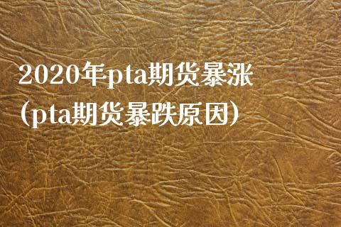 2020年pta期货暴涨(pta期货暴跌原因)_https://www.qianjuhuagong.com_期货百科_第1张