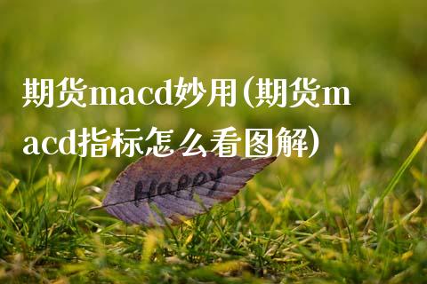 期货macd妙用(期货macd指标怎么看图解)_https://www.qianjuhuagong.com_期货行情_第1张