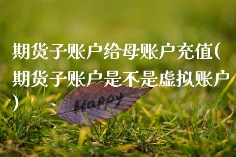 期货子账户给母账户充值(期货子账户是不是虚拟账户)_https://www.qianjuhuagong.com_期货开户_第1张