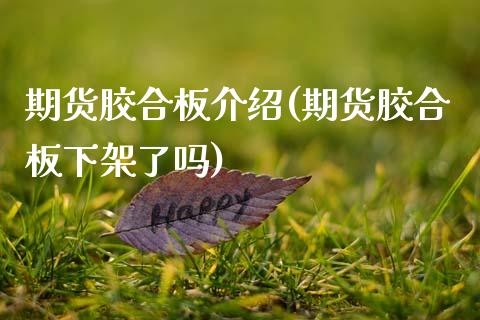 期货胶合板介绍(期货胶合板下架了吗)_https://www.qianjuhuagong.com_期货直播_第1张