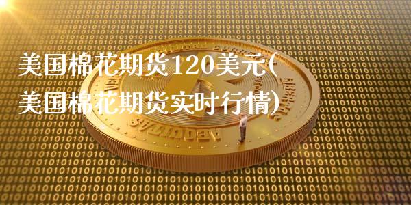 美国棉花期货120美元(美国棉花期货实时行情)_https://www.qianjuhuagong.com_期货行情_第1张