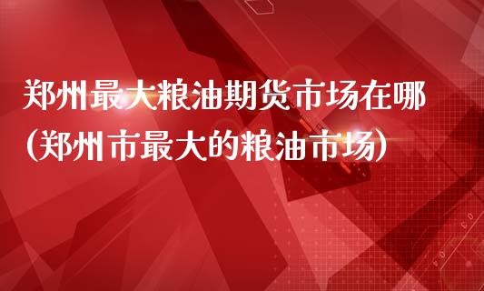 郑州最大粮油期货市场在哪(郑州市最大的粮油市场)_https://www.qianjuhuagong.com_期货直播_第1张