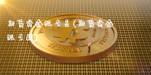 期货资金账号是(期货资金账号图)_https://www.qianjuhuagong.com_期货直播_第1张