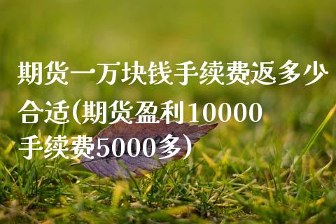 期货一万块钱手续费返多少合适(期货盈利10000手续费5000多)_https://www.qianjuhuagong.com_期货行情_第1张