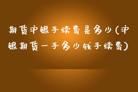 期货沪银手续费是多少(沪银期货一手多少钱手续费)_https://www.qianjuhuagong.com_期货开户_第1张