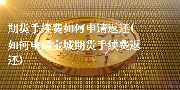 期货手续费如何申请返还(如何申请宝城期货手续费返还)_https://www.qianjuhuagong.com_期货开户_第1张