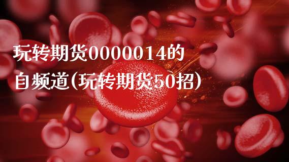 玩转期货0000014的自频道(玩转期货50招)_https://www.qianjuhuagong.com_期货平台_第1张