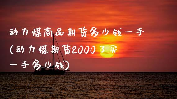 动力煤商品期货多少钱一手(动力煤期货2000了买一手多少钱)_https://www.qianjuhuagong.com_期货百科_第1张