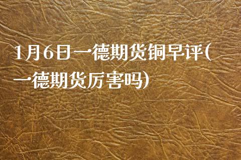 1月6日一德期货铜早评(一德期货厉害吗)_https://www.qianjuhuagong.com_期货百科_第1张