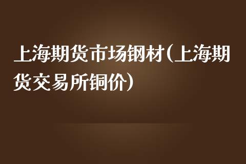 上海期货市场钢材(上海期货交易所铜价)_https://www.qianjuhuagong.com_期货开户_第1张