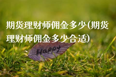 期货理财师佣金多少(期货理财师佣金多少合适)_https://www.qianjuhuagong.com_期货直播_第1张