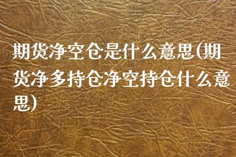 期货净空仓是什么意思(期货净多持仓净空持仓什么意思)_https://www.qianjuhuagong.com_期货直播_第1张