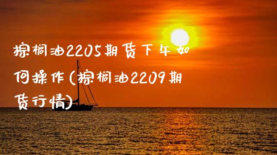 棕榈油2205期货下午如何操作(棕榈油2209期货行情)_https://www.qianjuhuagong.com_期货平台_第1张