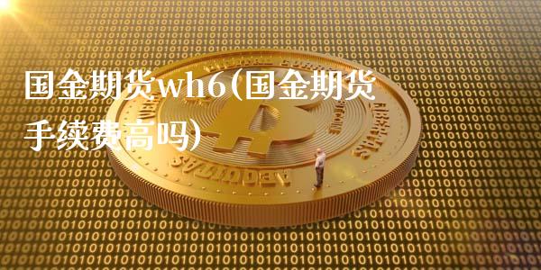 国金期货wh6(国金期货手续费高吗)_https://www.qianjuhuagong.com_期货百科_第1张