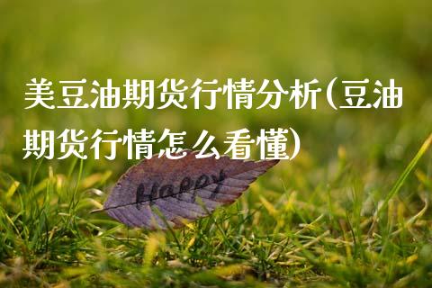 美豆油期货行情分析(豆油期货行情怎么看懂)_https://www.qianjuhuagong.com_期货平台_第1张