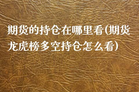 期货的持仓在哪里看(期货龙虎榜多空持仓怎么看)_https://www.qianjuhuagong.com_期货百科_第1张