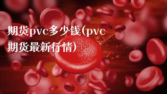 期货pvc多少钱(pvc期货最新行情)_https://www.qianjuhuagong.com_期货百科_第1张