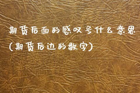 期货后面的感叹号什么意思(期货后边的数字)_https://www.qianjuhuagong.com_期货开户_第1张