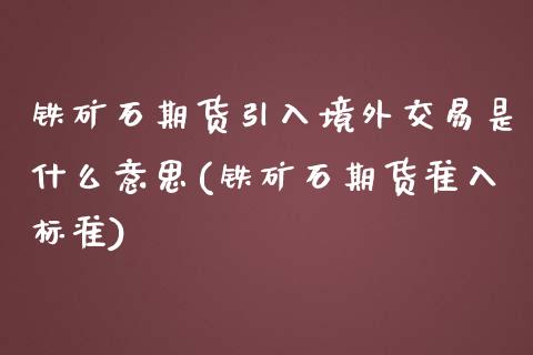 铁矿石期货引入境外交易是什么意思(铁矿石期货准入标准)_https://www.qianjuhuagong.com_期货直播_第1张