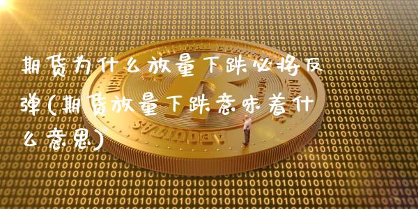 期货为什么放量下跌必将反弹(期货放量下跌意味着什么意思)_https://www.qianjuhuagong.com_期货行情_第1张