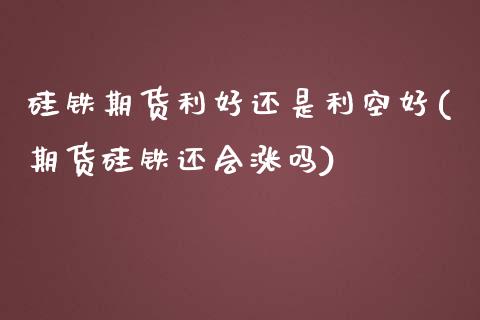 硅铁期货利好还是利空好(期货硅铁还会涨吗)_https://www.qianjuhuagong.com_期货百科_第1张