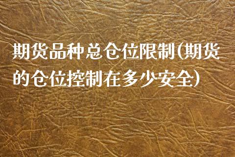 期货品种总仓位限制(期货的仓位控制在多少安全)_https://www.qianjuhuagong.com_期货百科_第1张