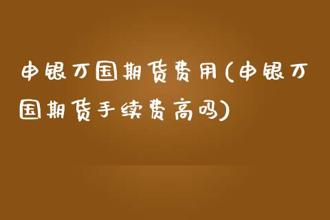 申银万国期货费用(申银万国期货手续费高吗)_https://www.qianjuhuagong.com_期货开户_第1张