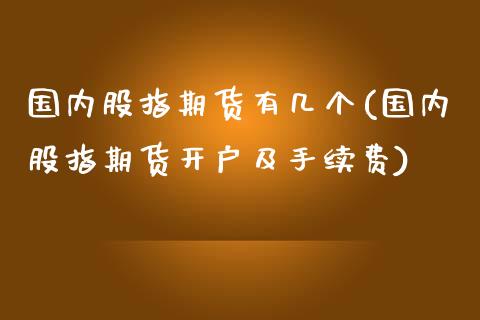 国内股指期货有几个(国内股指期货开户及手续费)_https://www.qianjuhuagong.com_期货百科_第1张