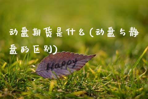 动盘期货是什么(动盘与静盘的区别)_https://www.qianjuhuagong.com_期货行情_第1张