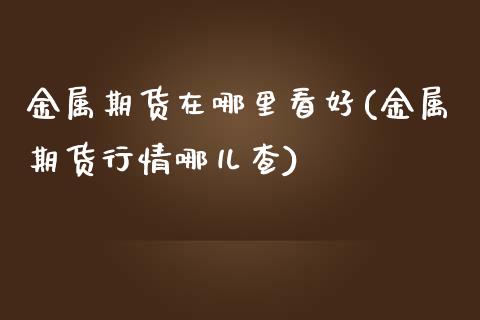 金属期货在哪里看好(金属期货行情哪儿查)_https://www.qianjuhuagong.com_期货百科_第1张