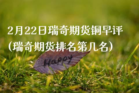 2月22日瑞奇期货铜早评(瑞奇期货排名第几名)_https://www.qianjuhuagong.com_期货行情_第1张