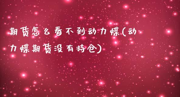 期货怎么看不到动力煤(动力煤期货没有持仓)_https://www.qianjuhuagong.com_期货平台_第1张