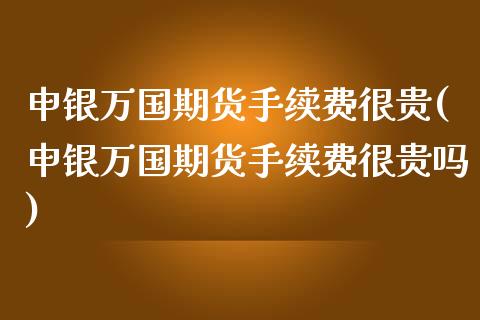 申银万国期货手续费很贵(申银万国期货手续费很贵吗)_https://www.qianjuhuagong.com_期货直播_第1张