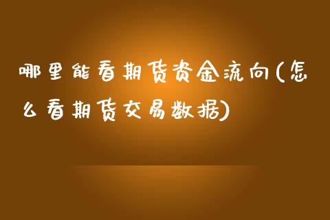 哪里能看期货资金流向(怎么看期货交易数据)_https://www.qianjuhuagong.com_期货开户_第1张