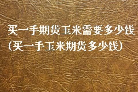 买一手期货玉米需要多少钱(买一手玉米期货多少钱)_https://www.qianjuhuagong.com_期货行情_第1张