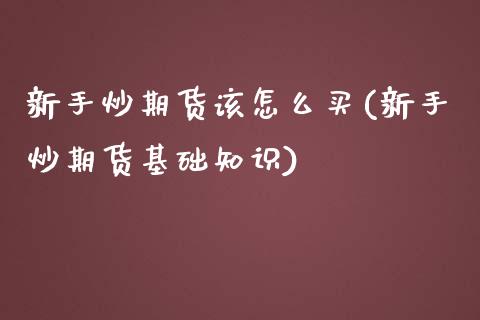 新手炒期货该怎么买(新手炒期货基础知识)_https://www.qianjuhuagong.com_期货百科_第1张