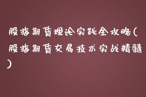 股指期货理论实践全攻略(股指期货交易技术实战精髓)_https://www.qianjuhuagong.com_期货百科_第1张