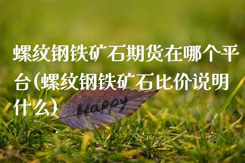 螺纹钢铁矿石期货在哪个平台(螺纹钢铁矿石比价说明什么)_https://www.qianjuhuagong.com_期货直播_第1张