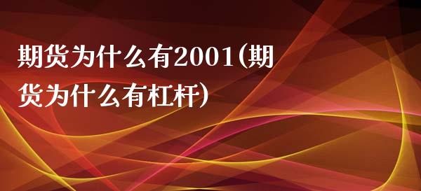 期货为什么有2001(期货为什么有杠杆)_https://www.qianjuhuagong.com_期货百科_第1张