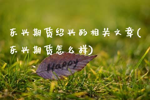 东兴期货绍兴的相关文章(东兴期货怎么样)_https://www.qianjuhuagong.com_期货平台_第1张