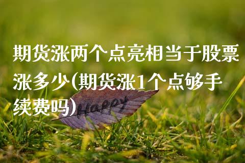 期货涨两个点亮相当于股票涨多少(期货涨1个点够手续费吗)_https://www.qianjuhuagong.com_期货直播_第1张