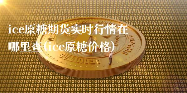 ice原糖期货实时行情在哪里查(ice原糖价格)_https://www.qianjuhuagong.com_期货直播_第1张