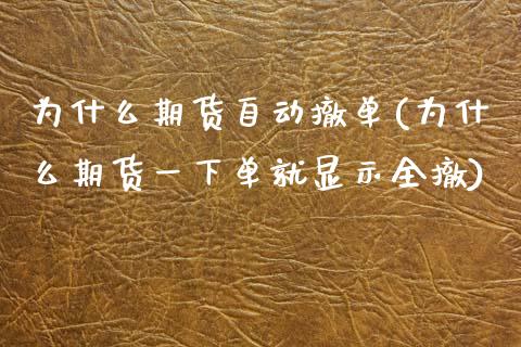 为什么期货自动撤单(为什么期货一下单就显示全撤)_https://www.qianjuhuagong.com_期货平台_第1张