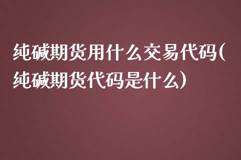 纯碱期货用什么交易代码(纯碱期货代码是什么)_https://www.qianjuhuagong.com_期货开户_第1张