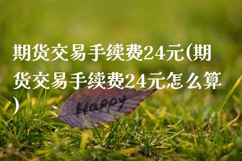 期货交易手续费24元(期货交易手续费24元怎么算)_https://www.qianjuhuagong.com_期货平台_第1张