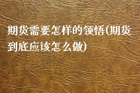 期货需要怎样的领悟(期货到底应该怎么做)_https://www.qianjuhuagong.com_期货行情_第1张