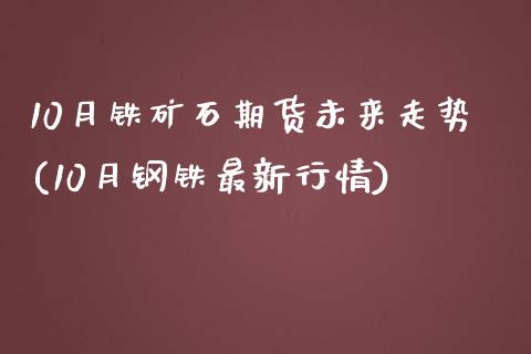 10月铁矿石期货未来走势(10月钢铁最新行情)_https://www.qianjuhuagong.com_期货平台_第1张