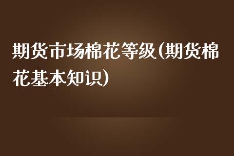 期货市场棉花等级(期货棉花基本知识)_https://www.qianjuhuagong.com_期货开户_第1张