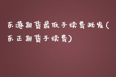 东港期货最低手续费批发(东正期货手续费)_https://www.qianjuhuagong.com_期货直播_第1张